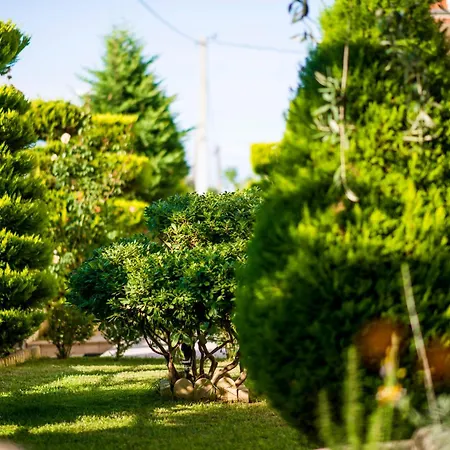 Apartament Mandani Luxury *